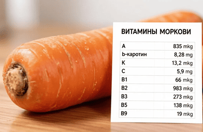 Морковь: кладезь витаминов и микроэлементов для здоровья человека и животных